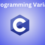C Programming Variable