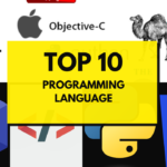 Top 10 Programming Languages in 2024: What You Need to Know