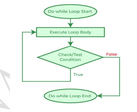 C Programming Loop Explain, Flowchart and Example