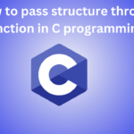 How to pass structure through function in C programming?