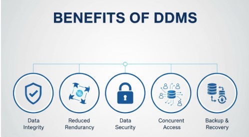 Introduction of DBMS